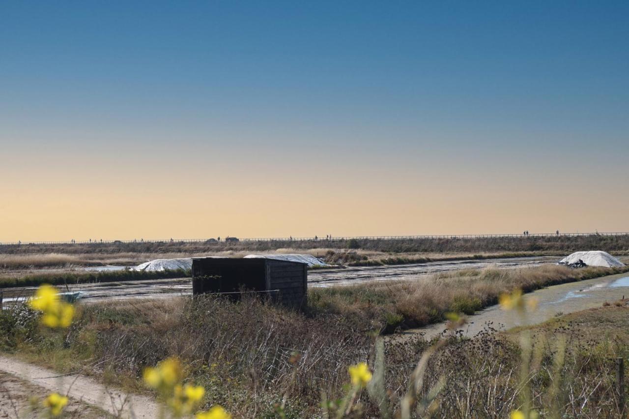 Le Parc Des Mimosas Βίλα Noirmoutier-en-l'Ile Εξωτερικό φωτογραφία