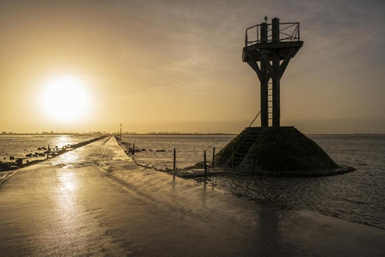 Le Parc Des Mimosas Βίλα Noirmoutier-en-l'Ile Εξωτερικό φωτογραφία