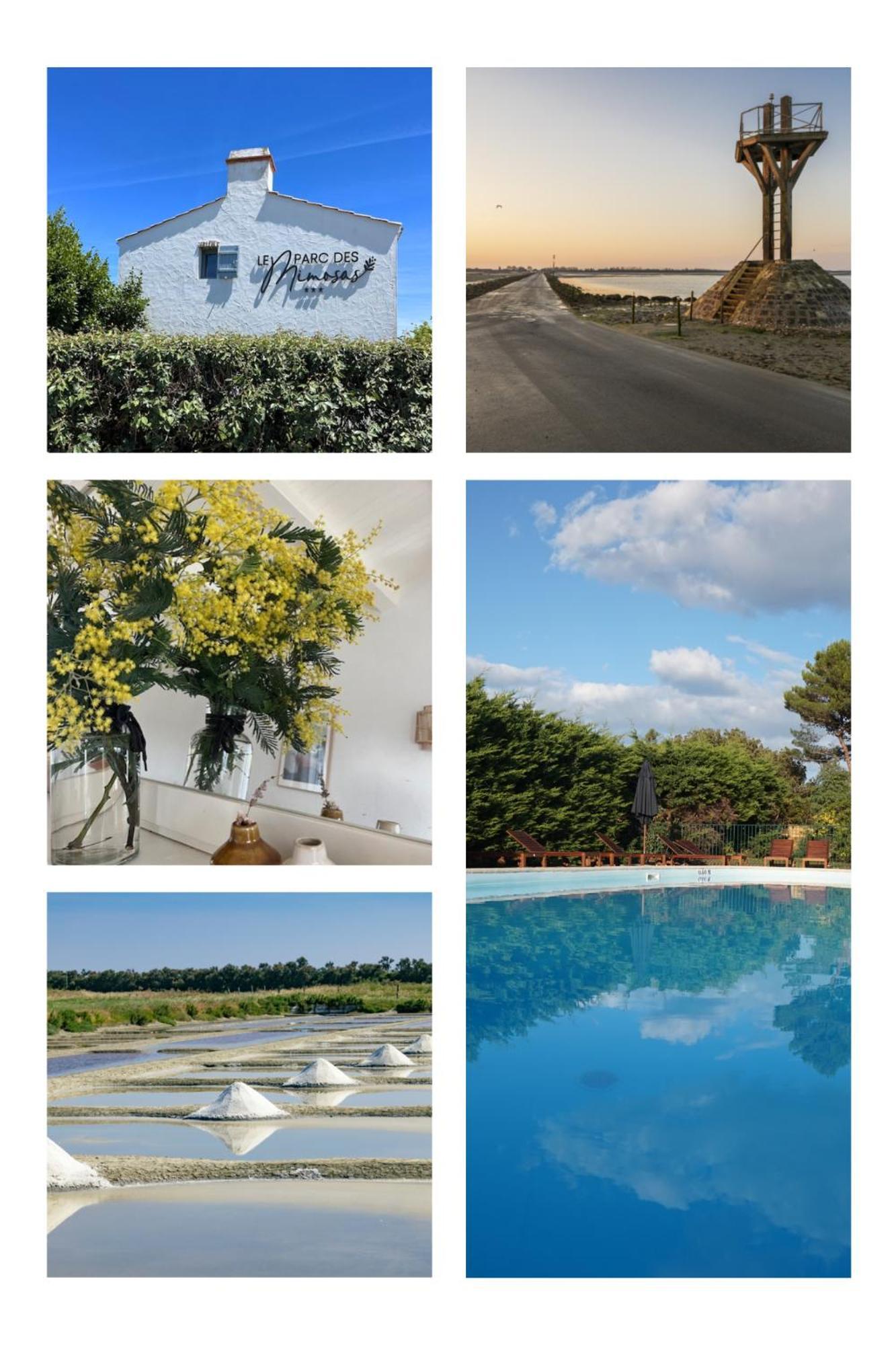 Le Parc Des Mimosas Βίλα Noirmoutier-en-l'Ile Εξωτερικό φωτογραφία